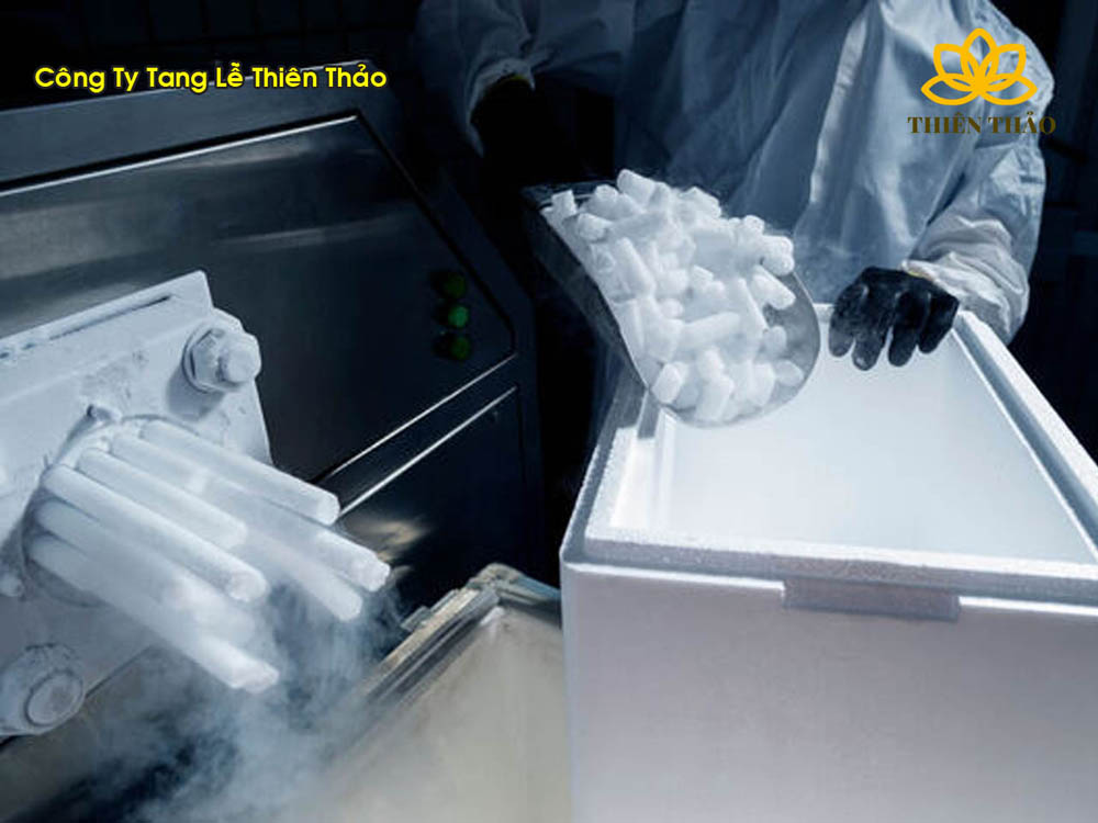 Dich-vu-bao-quan-thi-hai